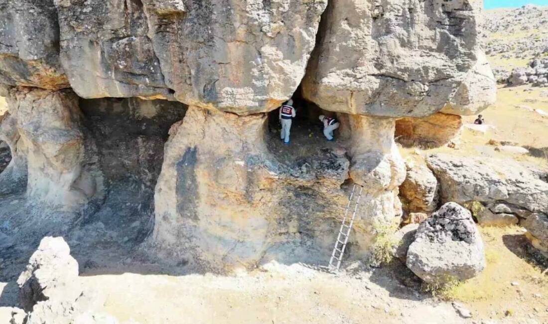 Cinayet zanlısının, kadını öldürdüğü yere 7 kez gittiği ortaya çıktı Diyarbakır’ın Çermik ilçesinde 10 yıl önce 27 yaşındaki Gülizar Bingöl’ü