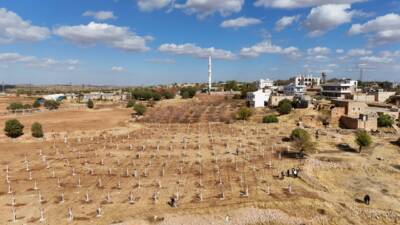 Mardin’in Ömerli ilçesinde atıl durumdaki tarım arazileri, modern bağcılık projesiyle