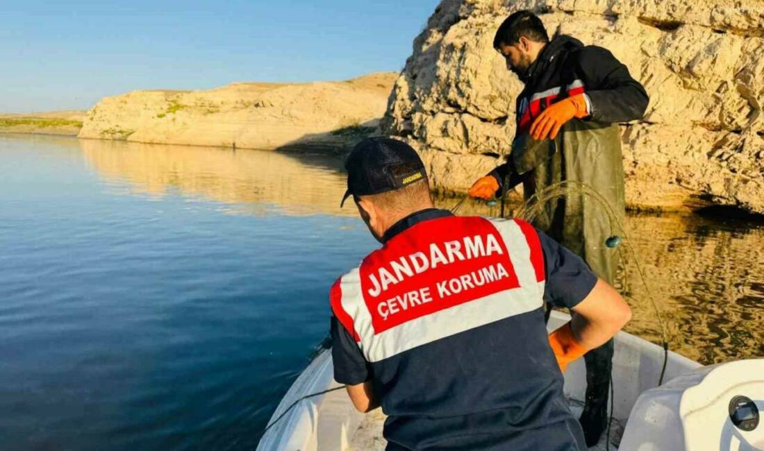 Batman'da Dicle Nehri'nde yapılan denetimlerde sahipsiz serpme ve hayalet ağlar
