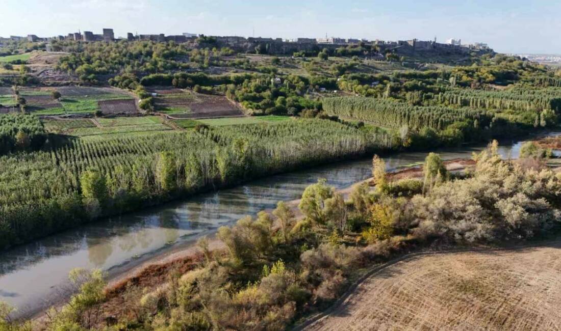 Dicle Nehri’nin 100 kilometrelik kısmı “nehir” statüsünde tanımlanmıyor Dicle Nehri’nin Diyarbakır’dan geçen bölümünün 100 kilometrelik kısmının kanuni olarak