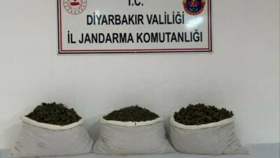 Diyarbakır’ın Lice ilçesinde yapılan operasyonda 15 kilo skunk ele geçirildi.