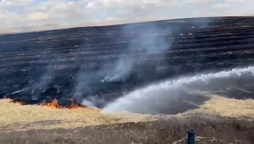 Diyarbakır’ın Silvan ilçesinde onlarca dönümlük alanda anızlar alev aldı.