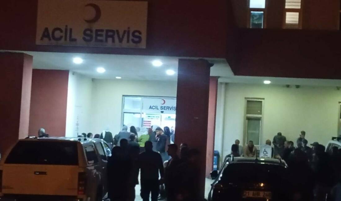 Çüngüş ilçesindeki Aydınlı Mahallesi'nde 6 yaşındaki Yavuz Dündar, bir eşeğin
