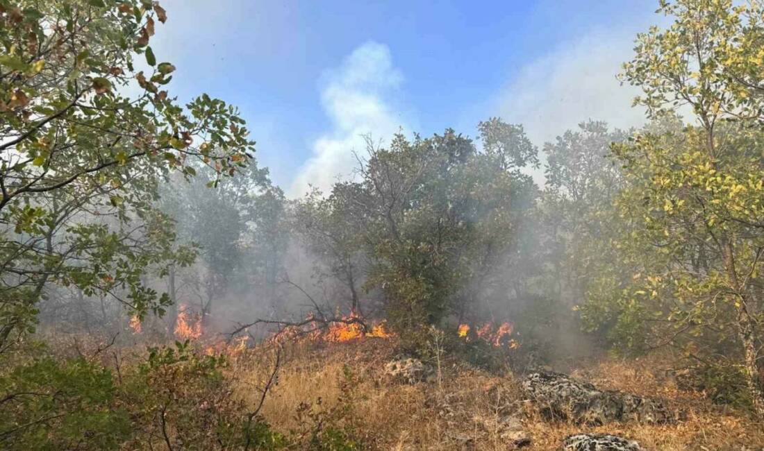 Dicle ilçesinde çıkan örtü yangını, helikopter destekli müdahale ile söndürüldü.