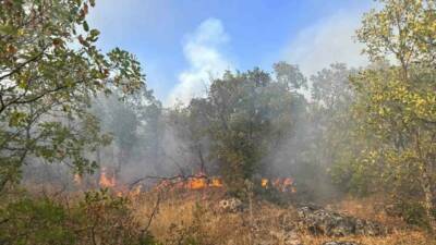 Dicle ilçesinde çıkan örtü yangını, helikopter destekli müdahale ile söndürüldü.