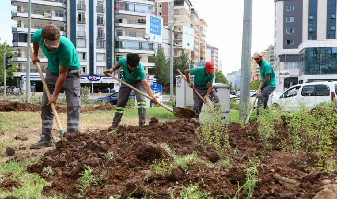 Diyarbakır Büyükşehir Belediyesi, dört merkez ilçedeki kavşakların estetik görünümünü sağlamak