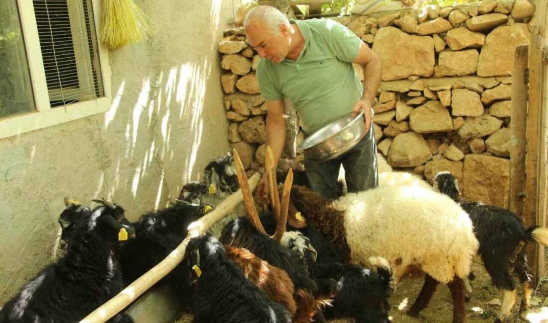 Şırnak'ta yaşayan eski hükümlü Tahir Keskin, İş-Kur'un Eski Hükümlü Projesi