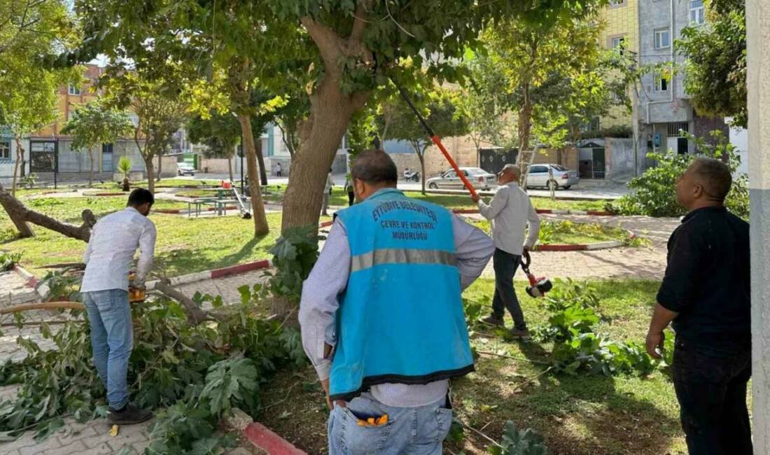 Eyyübiye’deki parklarda bakım ve yenileme çalışması Eyyübiye Belediyesi, ilçedeki park ve yeşil alanları hem genişletiyor hem