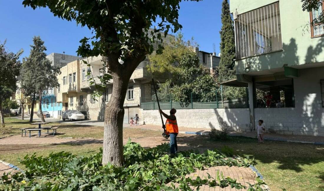 Eyyübiye Belediyesi, yeşil alan miktarını artırmak ve mevcut parkları güzelleştirmek