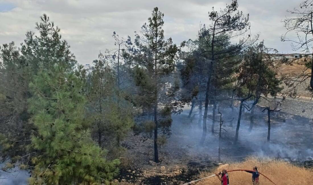 Adıyaman'ın Besni ilçesinde bir fabrikanın içerisindeki ağaçlık alanda çıkan yangın,