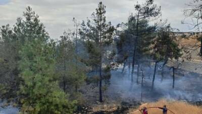 Adıyaman'ın Besni ilçesinde bir fabrikanın içerisindeki ağaçlık alanda çıkan yangın,