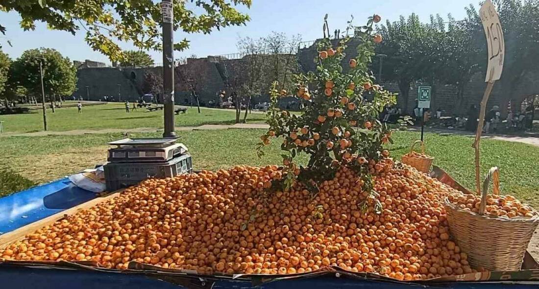Sonbaharın gelmesiyle birlikte Diyarbakır ve çevresinde yetişen alıç meyvesi tezgahlarda