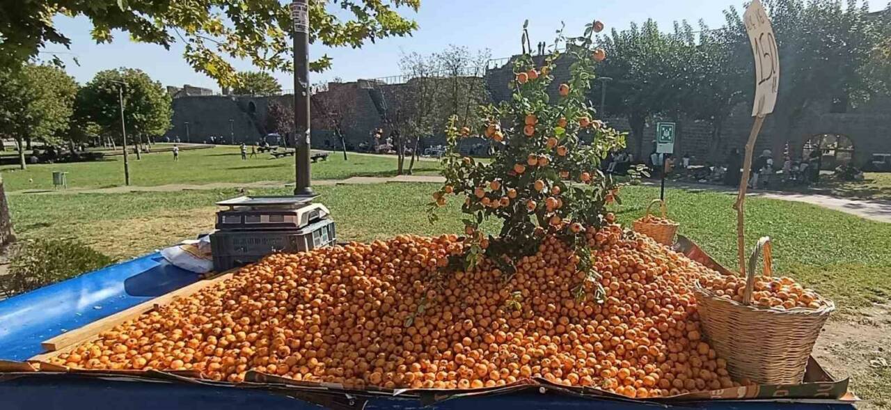 Sonbaharın gelmesiyle birlikte Diyarbakır ve çevresinde yetişen alıç meyvesi tezgahlarda