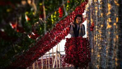UNESCO Gastronomi Kenti Gaziantep'in geleneksel mutfak kültürünün vazgeçilmez simgeleri sebze