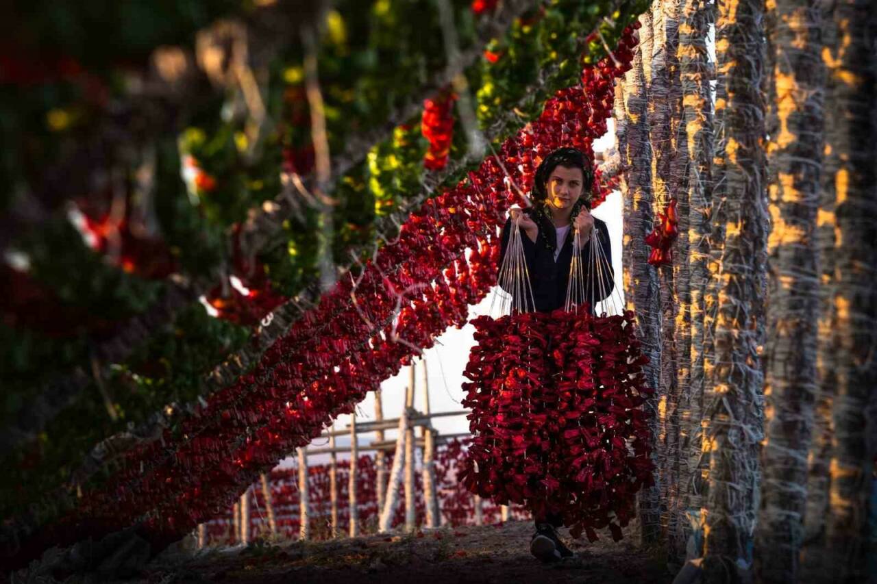 UNESCO Gastronomi Kenti Gaziantep'in geleneksel mutfak kültürünün vazgeçilmez simgeleri sebze