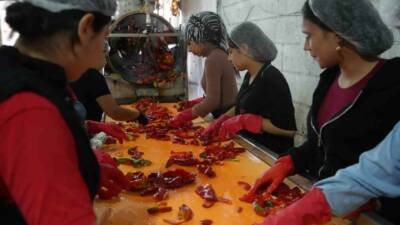 Gaziantep'te salça üretimi yapan kadınlar, kış hazırlıkları kapsamında büyük emek