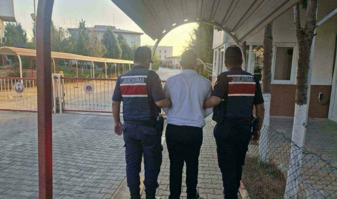 Gaziantep'te gerçekleştirilen uyuşturucu operasyonlarında, 2 kilo 780 gram skunk, 1