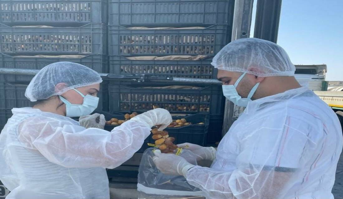 Hurma ürünlerinin taze ve güvenilir olması için Habur Sınır Kapısı'ndan