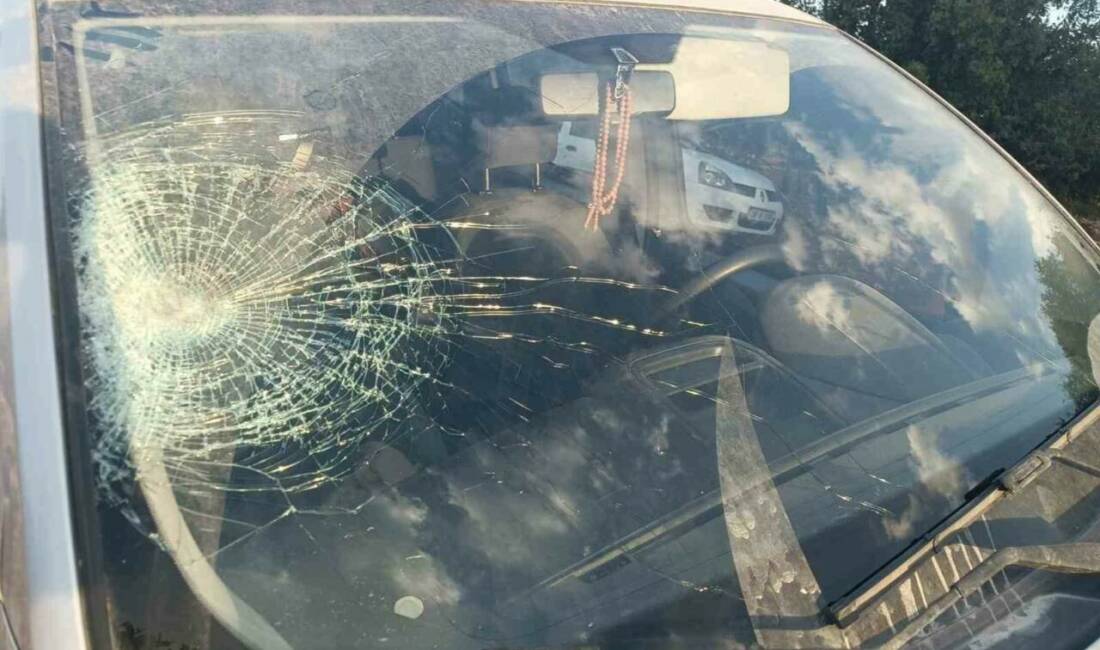 Adıyaman'ın Gölbaşı ilçesinde, Aşağıkarakuyu köyünden Gölbaşı istikametine giden hafif ticari