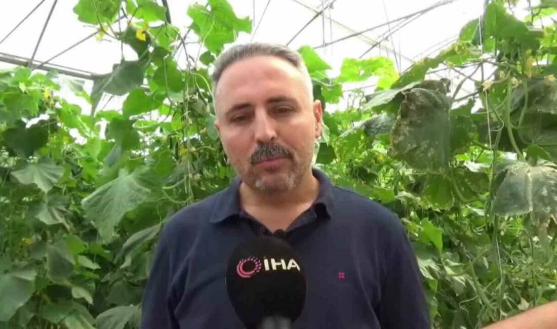 Diyarbakır'ın Ergani ilçesinde veteriner hekim olan Serdar Güneş, devlet desteğiyle