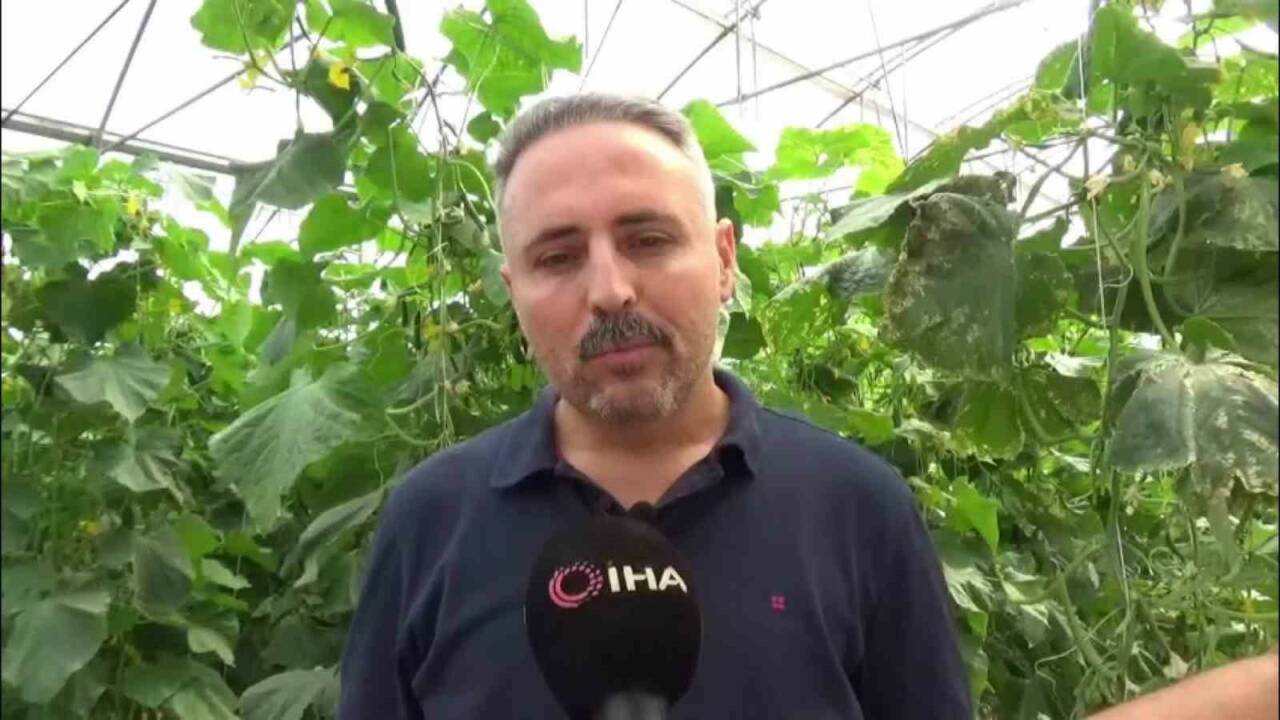 Diyarbakır'ın Ergani ilçesinde veteriner hekim olan Serdar Güneş, devlet desteğiyle