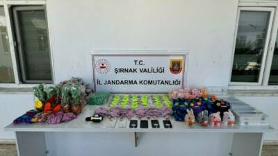 Şırnak İl Jandarma Komutanlığı ekipleri, il merkezi ve 6 ilçede