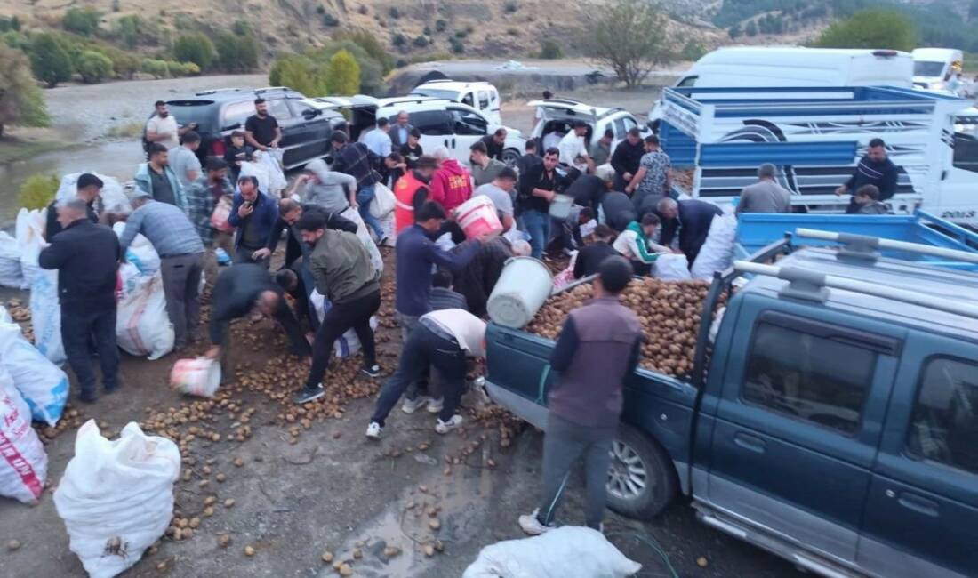 Siirt'in Baykan ilçesinde patates yüklü bir kamyonet arıza yapınca sürücüsü