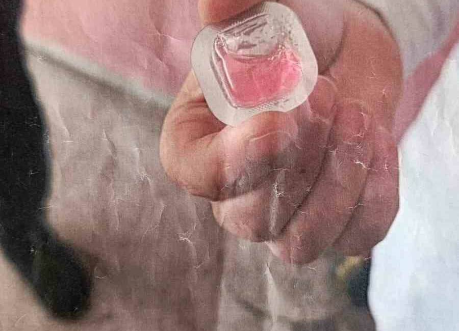Kapı kapı gezip fotoğraf göstererek tehlikeye dikkat çektiler Diyarbakır'ın Bağlar ilçesinde havadan atılan kuduz aşıları yerleşim yerlerine düştü