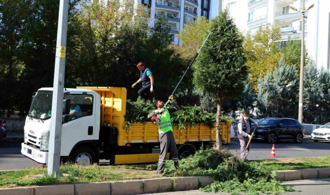 Kent genelinde ağaç budama çalışmaları başladı Diyarbakır Büyükşehir Belediyesi, kent genelindeki ağaçların sağlıklı bir şekilde büyümelerini