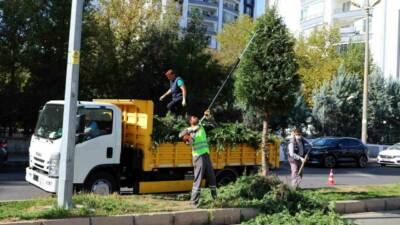 Diyarbakır Büyükşehir Belediyesi, kent genelindeki ağaçların sağlıklı bir şekilde büyümelerini