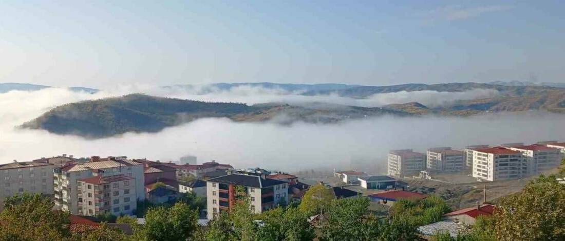 Diyarbakır'ın Kulp ilçesinde sabah saatlerinde meydana gelen yoğun sis, hayatı