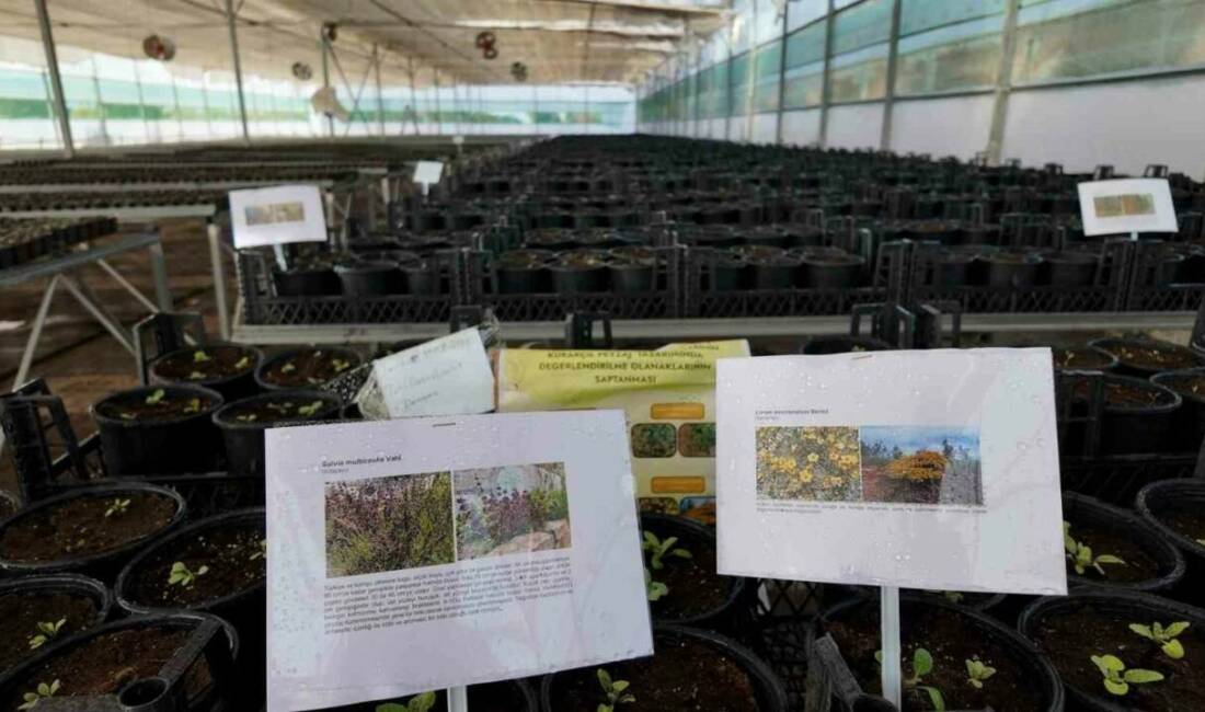 Kurakçıl Peyzaj Tasarımı Projesi’ne destek Şanlıurfa Büyükşehir Belediyesi, yeşil alanlarda su verimliliğini artırmak ve ekolojik