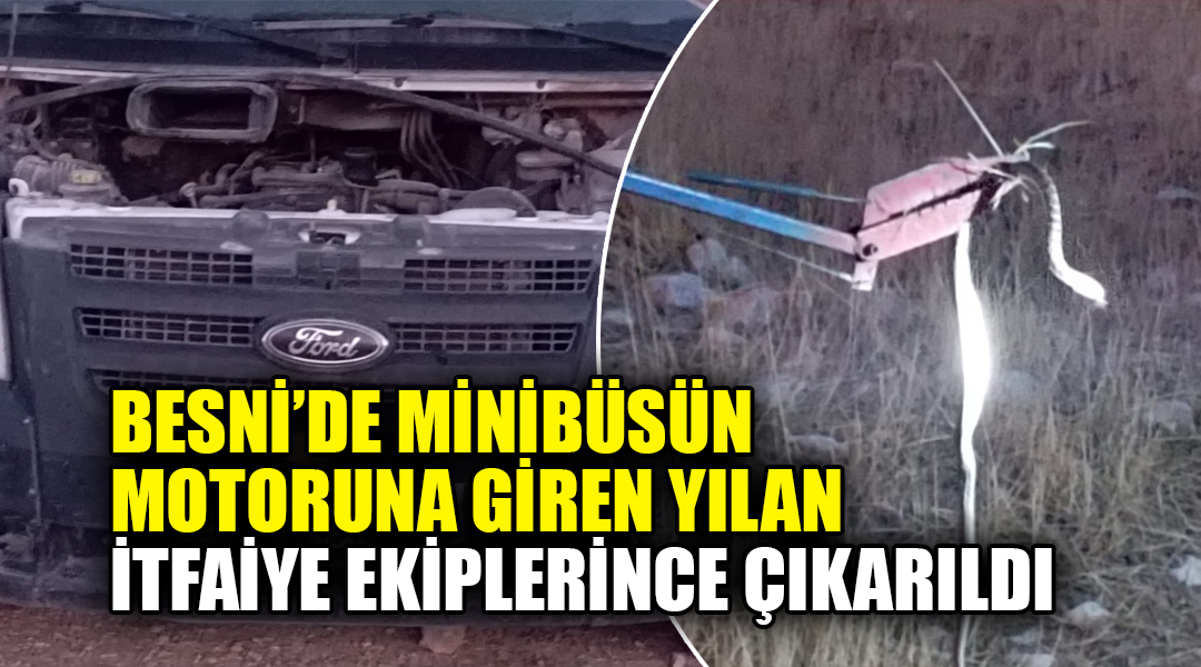 Besni’de minibüsün motoruna giren yılan itfaiye ekiplerince çıkarıldı Besni'de bir minibüsün motor kısmına giren yılan, itfaiye ekiplerinin çalışmasıyla
