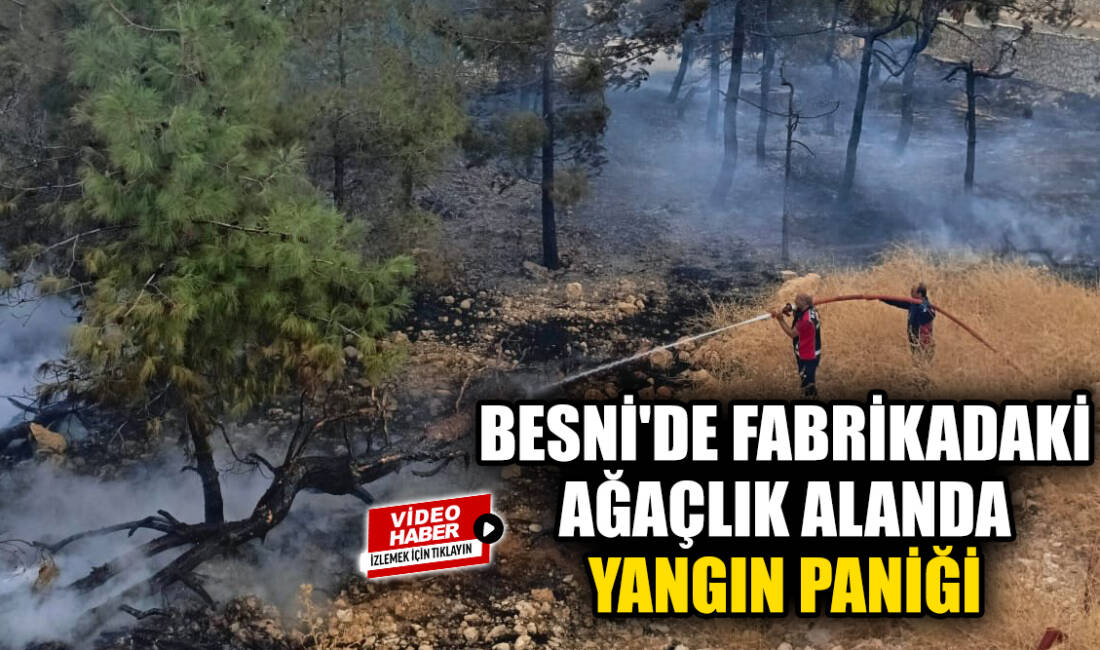 Besni'de bir fabrikanın içerisindeki ağaçlık alanda çıkan yangın paniğe neden