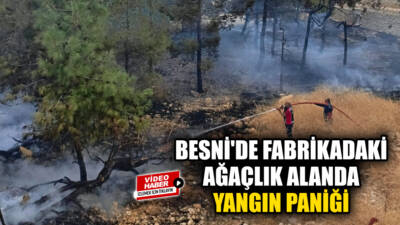 Besni'de bir fabrikanın içerisindeki ağaçlık alanda çıkan yangın paniğe neden