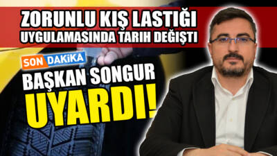 Besni Şoförler ve Otomobilciler Esnaf Odası Başkanı Ferhat Songur, kış