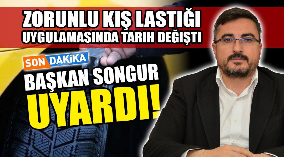 Besni Şoförler ve Otomobilciler Esnaf Odası Başkanı Ferhat Songur, kış