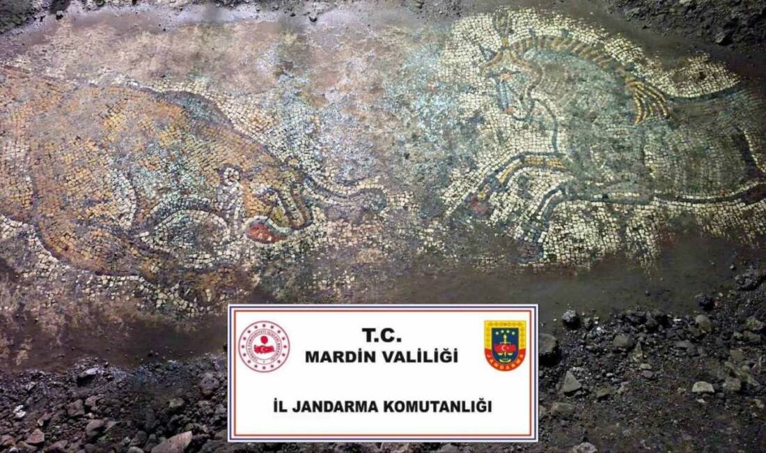 Mardin’de “Anadolu Mirası” operasyonunda 1500 yıllık mozaik ele geçirildi Mardin'de jandarma ekiplerinin yürüttüğü "Anadolu Mirası" operasyonunda, geç Roma dönemine
