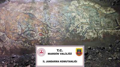 Mardin'de jandarma ekiplerinin yürüttüğü "Anadolu Mirası" operasyonunda, geç Roma dönemine