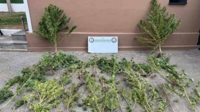 Mardin'in Mazıdağı ve Yeşilli ilçelerinde gerçekleştirilen uyuşturucu operasyonlarında 3 şüpheli