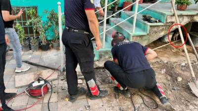 Cizre ilçesinde bir iş yerinde merdiven boşluğunda mahsur kalan yavru