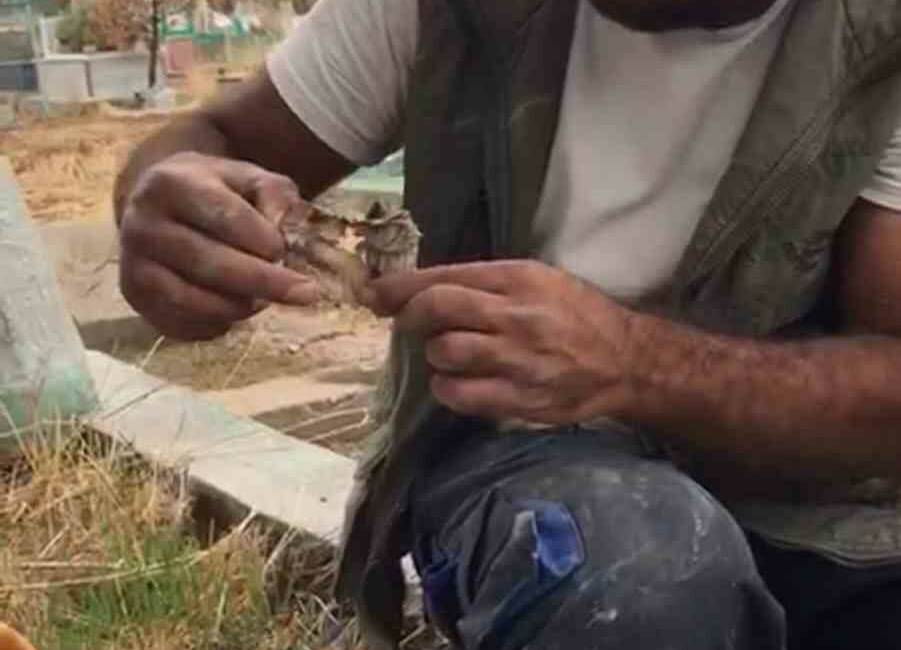 Mezarlıktan kefenlenmiş oyuncak bebek çıktı Diyarbakır'da bir mezar kazıcı, kefenlenmiş bir oyuncak bebek buldu. Daha