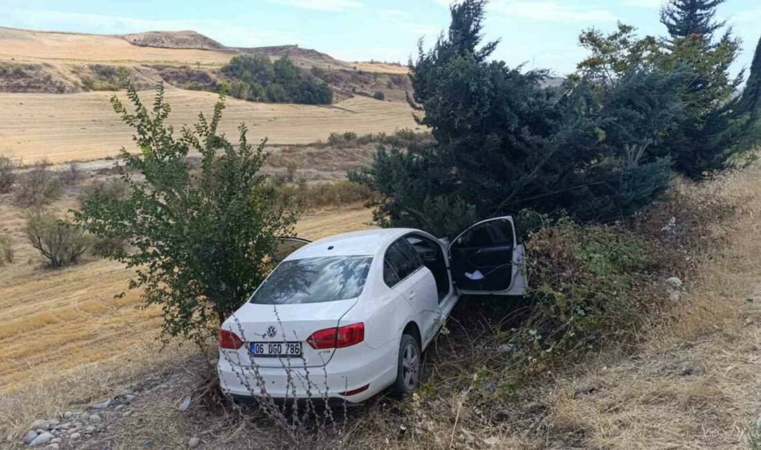 Adıyaman'da meydana gelen trafik kazasında, otomobilin şarampole yuvarlanması sonucu sürücü