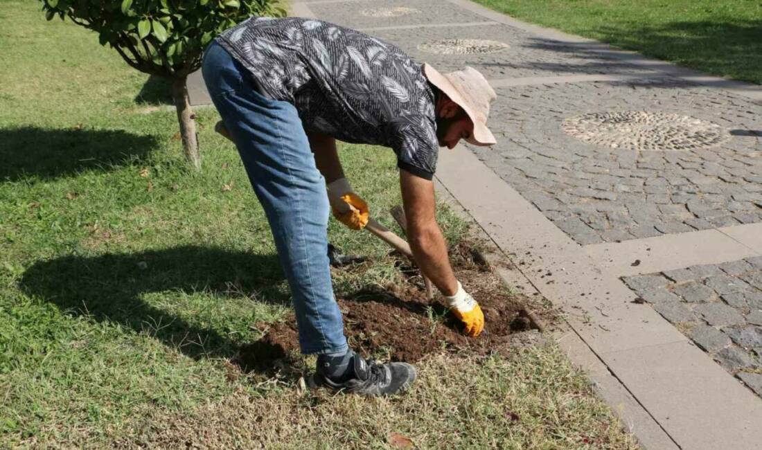 Diyarbakır Müzesi, açık hava müzesi görünümündeki bahçesinde 'Sütunlu Yol' Projesi