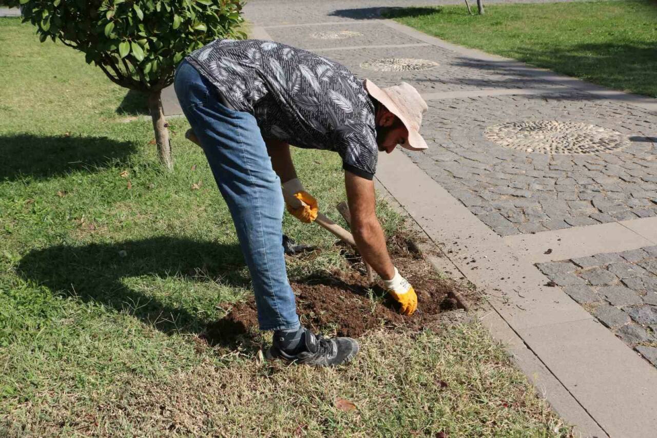 Diyarbakır Müzesi, açık hava müzesi görünümündeki bahçesinde 'Sütunlu Yol' Projesi