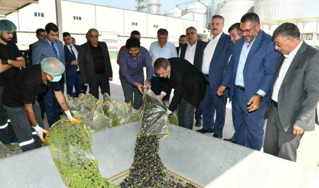 Şanlıurfa Valisi Hasan Şıldak, Gıda İhtisas Organize Sanayi Bölgesi'nde, bölgenin