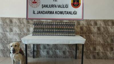 Şanlıurfa İl Jandarma Komutanlığı ekipleri tarafından düzenlenen operasyonlarda 7 bin