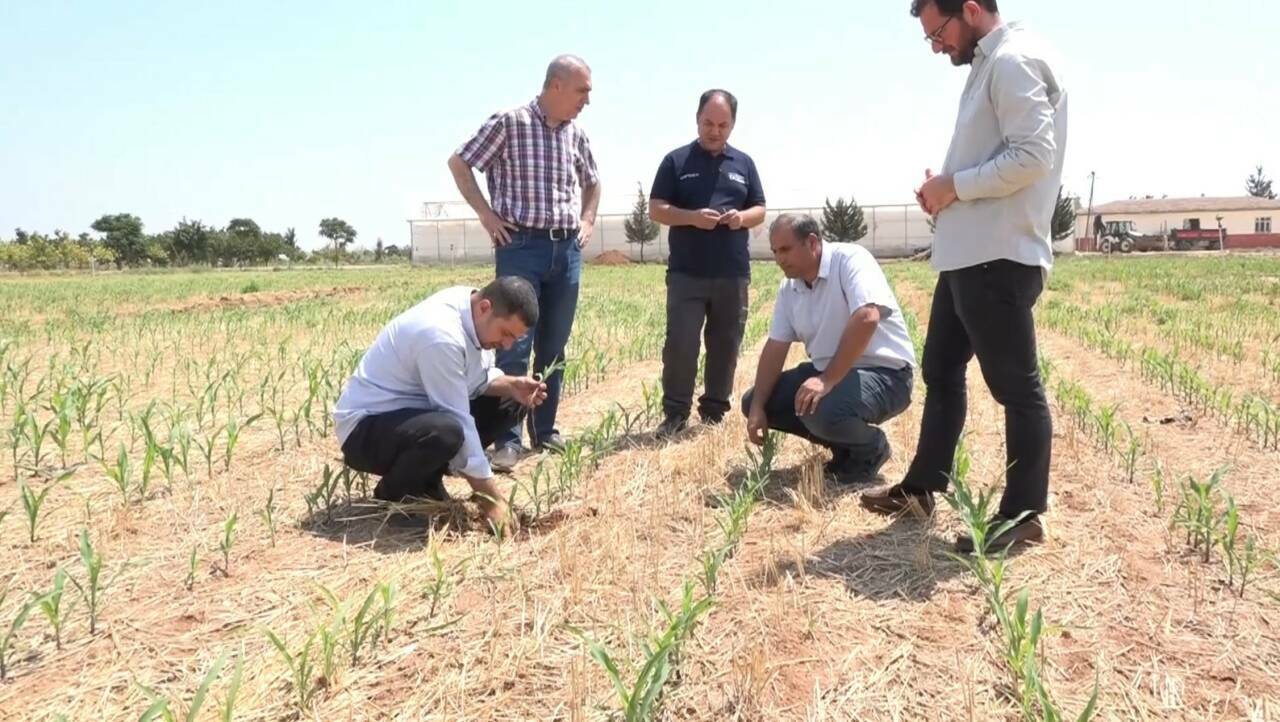 Şanlıurfa'da tarımda çevreci ve sürdürülebilir uygulamalar giderek yaygınlaşıyor. Anız yakmadan