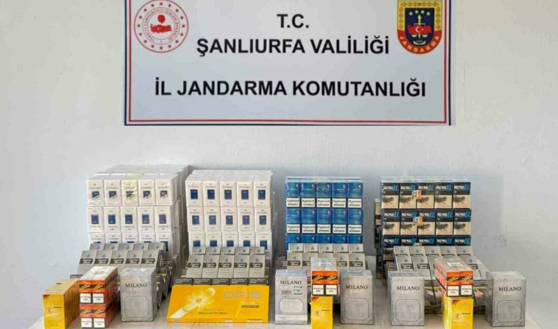 Şanlıurfa'nın Viranşehir ilçesinde jandarma ekipleri bin 240 paket sigara ele