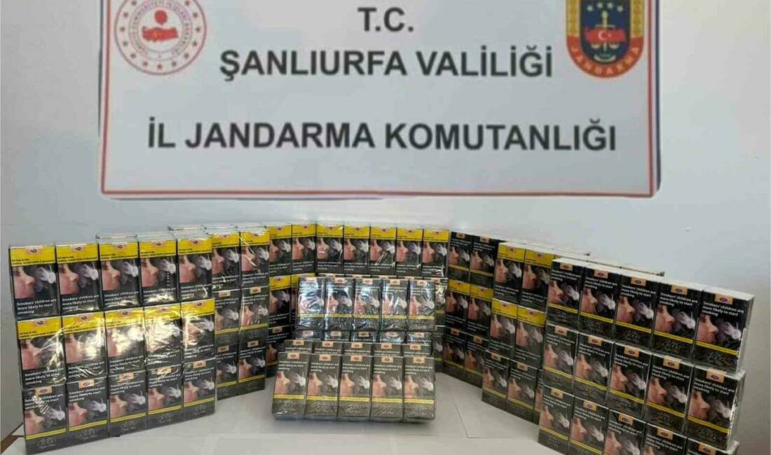 Şanlıurfa'da jandarma ekipleri tütün ve alkol kaçakçılarıyla mücadele kapsamında gümrük